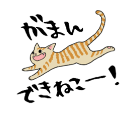 Comical cats sticker #7284105