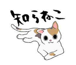 Comical cats sticker #7284106