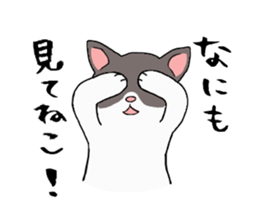 Comical cats sticker #7284124