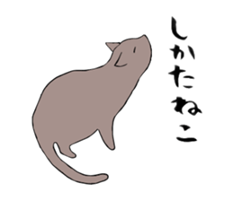 Comical cats sticker #7284125