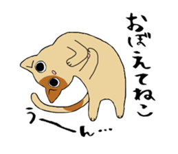 Comical cats sticker #7284127