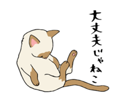 Comical cats sticker #7284128