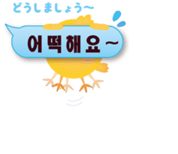 PIYOSU of the chick -Hangul sticker- sticker #7286679