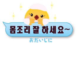 PIYOSU of the chick  -Hangul sticker- sticker #7286683
