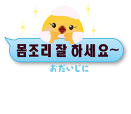 PIYOSU of the chick -Hangul sticker- sticker #7286683