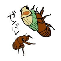 Sentimental Cicada Sticker sticker #7287864