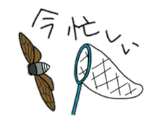 Sentimental Cicada Sticker sticker #7287866