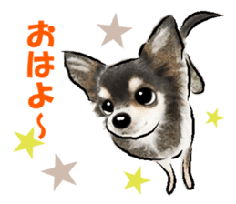 -Chihuahuas-ver.2 sticker #7289242