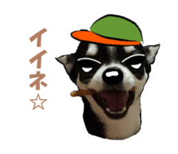 -Chihuahuas-ver.2 sticker #7289244