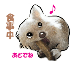 -Chihuahuas-ver.2 sticker #7289254