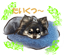 -Chihuahuas-ver.2 sticker #7289263