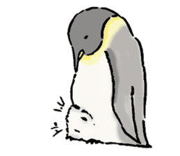 Pleasant pretty penguin sticker #7289414