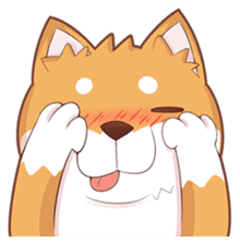 Momo, the Shiba sticker #7292572