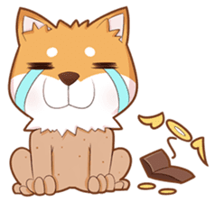 Momo, the Shiba sticker #7292576