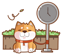 Momo, the Shiba sticker #7292585