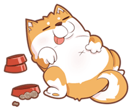 Momo, the Shiba sticker #7292587