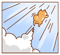 Momo, the Shiba sticker #7292594