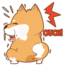 Momo, the Shiba sticker #7292595
