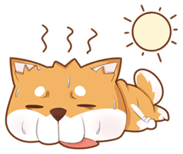 Momo, the Shiba sticker #7292607