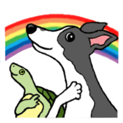 Cutie dog and cool tortoise