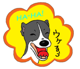 Cutie dog and cool tortoise sticker #7293210