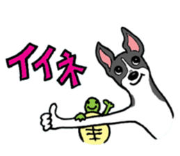 Cutie dog and cool tortoise sticker #7293211