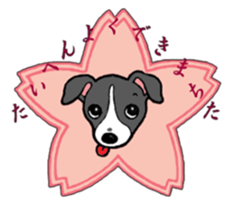 Cutie dog and cool tortoise sticker #7293212