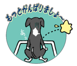 Cutie dog and cool tortoise sticker #7293213