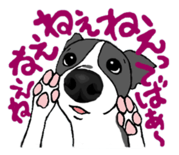 Cutie dog and cool tortoise sticker #7293216