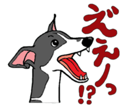 Cutie dog and cool tortoise sticker #7293220