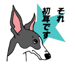 Cutie dog and cool tortoise sticker #7293221