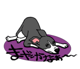 Cutie dog and cool tortoise sticker #7293222
