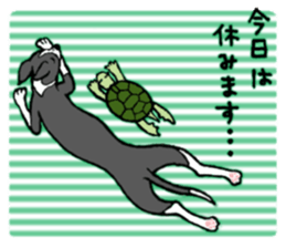 Cutie dog and cool tortoise sticker #7293223