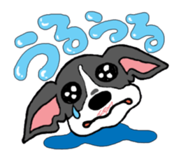 Cutie dog and cool tortoise sticker #7293226
