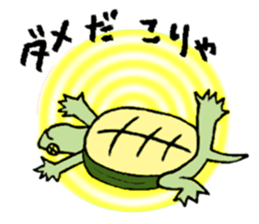 Cutie dog and cool tortoise sticker #7293231