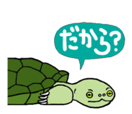 Cutie dog and cool tortoise sticker #7293232