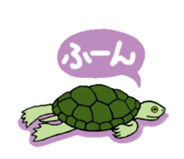 Cutie dog and cool tortoise sticker #7293234