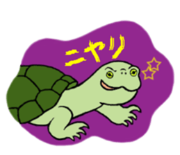 Cutie dog and cool tortoise sticker #7293239