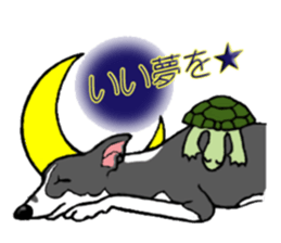 Cutie dog and cool tortoise sticker #7293246