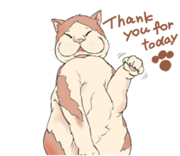 Funny fat cats sticker #7293490