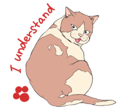 Funny fat cats sticker #7293492