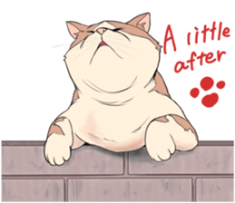 Funny fat cats sticker #7293495