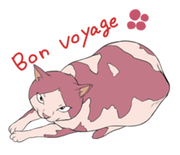 Funny fat cats sticker #7293496