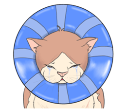 Funny fat cats sticker #7293497