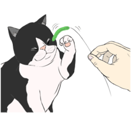 Funny fat cats sticker #7293507