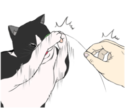 Funny fat cats sticker #7293508