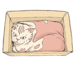 Funny fat cats sticker #7293513