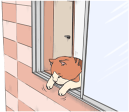 Funny fat cats sticker #7293523