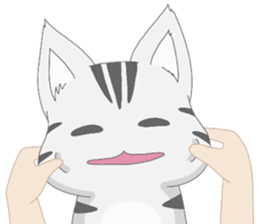 Kyouya is My Cat (TH) sticker #7294331