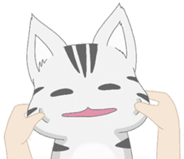 Kyouya is My Cat (TH) sticker #7294331